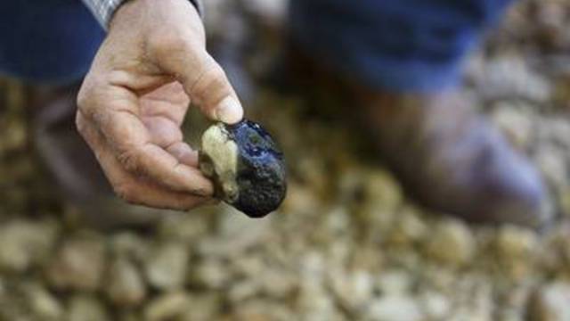 Colorado County Groundwater Conservation District Board Member Andrew Labay, who is also a fisheries biologist, holds a rock covered in a black contaminant on Skull Creek near Inland Environmental & Remediation, Inc., south of Columbus, Texas on April 14, 2019.