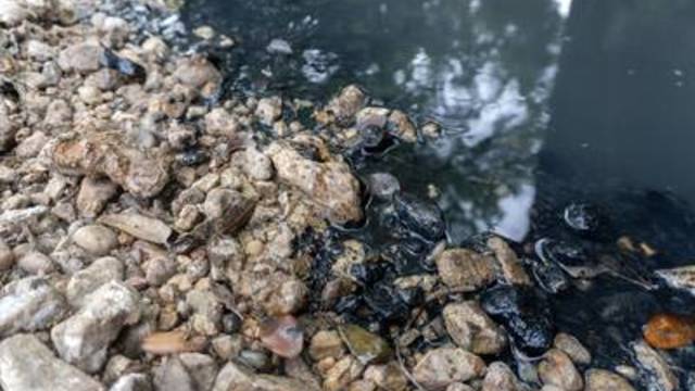 Black residue on the banks of Skull Creek near Altair, Texas, on April 11, 2019.
