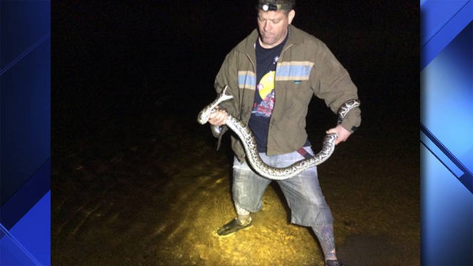 python pythons brian hunter invasive hunters florida hargrove snakes caught kill miles sfwmd any