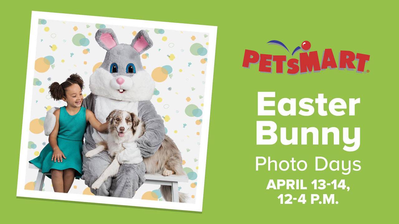 Free Easter Bunny photos for family, pets at PetSmart