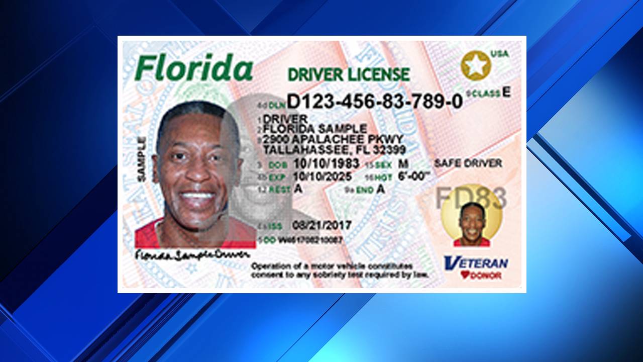 Heres What Your New Florida Driver License Looks Like
