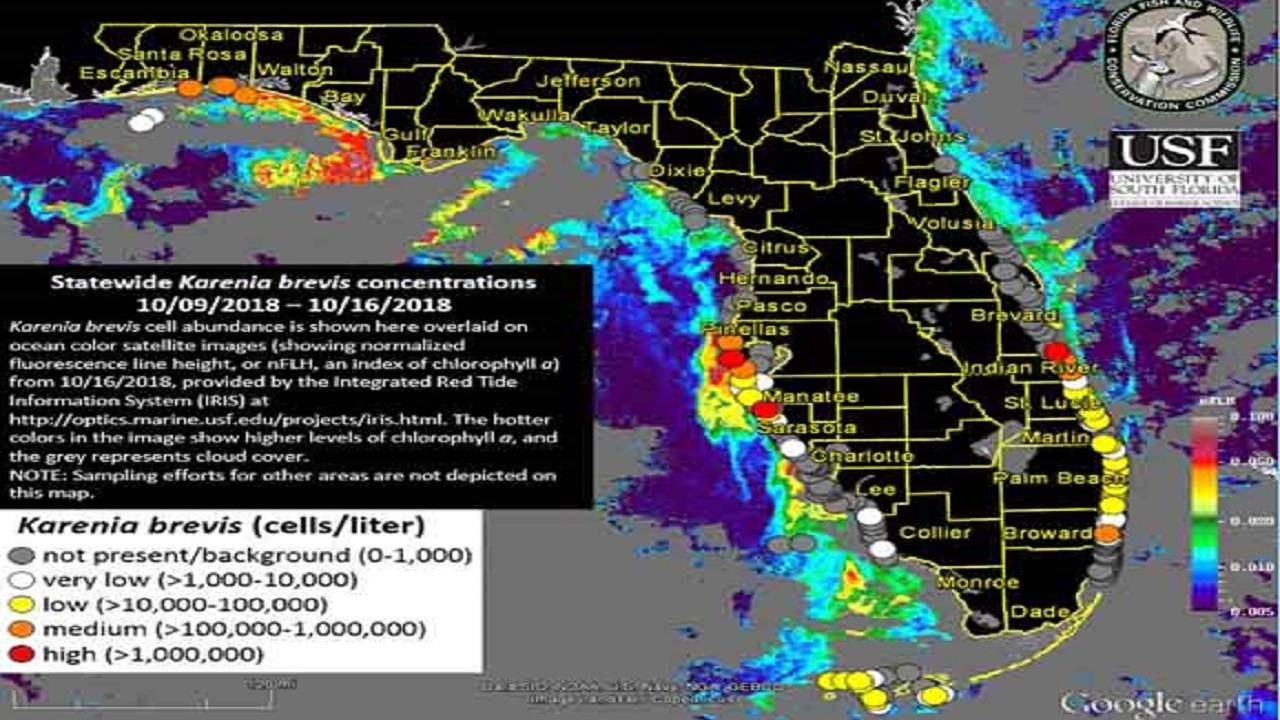 Red Tide In Florida Map Map