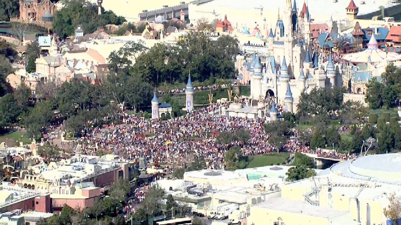 Magic Kingdom at capacity, here's how you can still see...