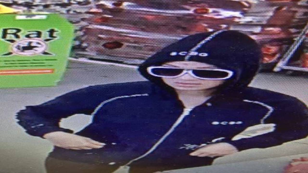 Home Depot Palm Home Depot Palm