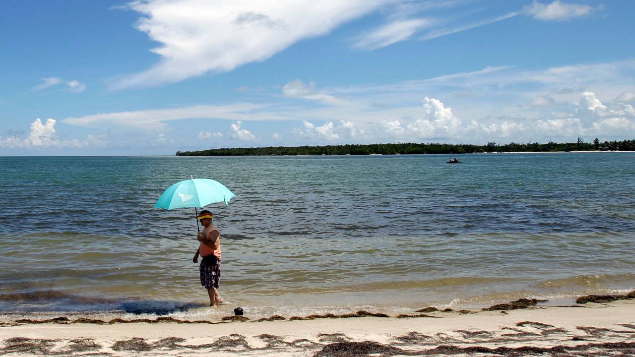 Officials Lift Swimming Advisories For 2 Miami Dade Beaches