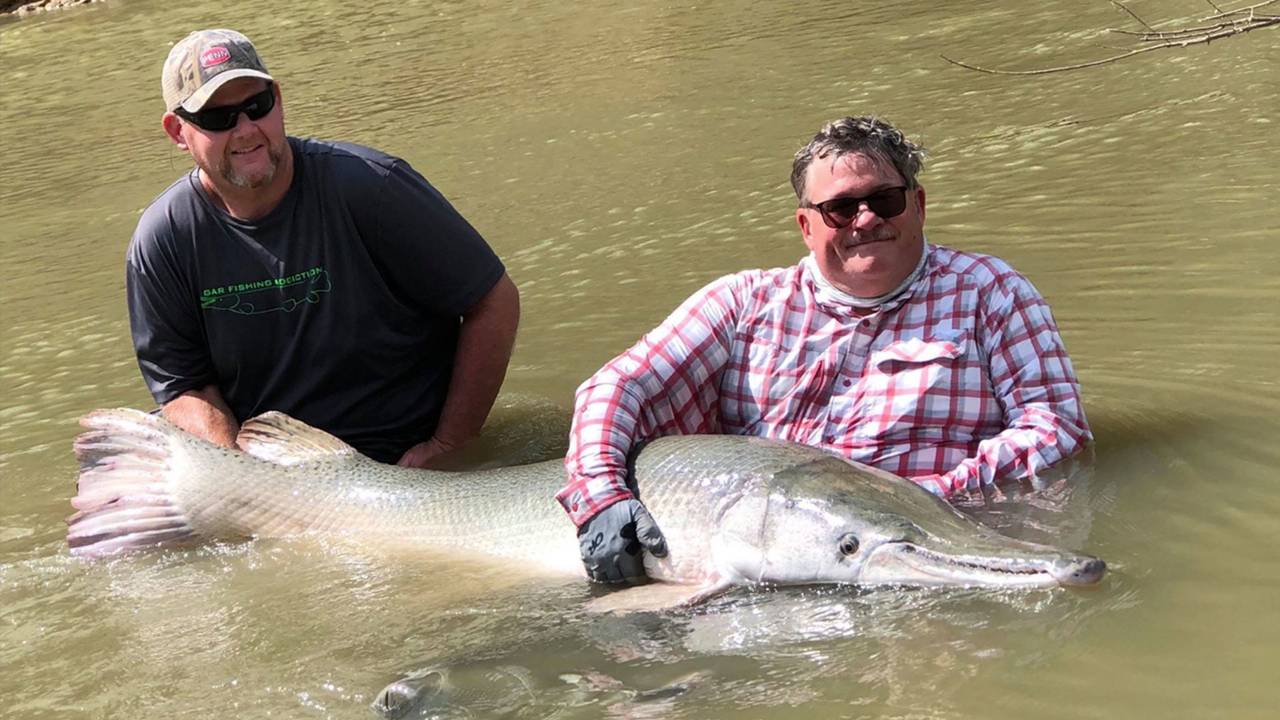 alligator-gar-fishing_1569858247820.jpg