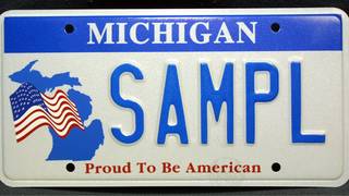Grace period for license plates in colorado Grace period for license plates in colorado