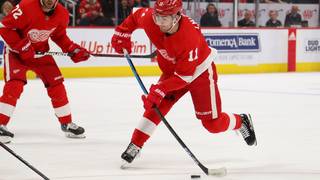 Red Wings 2019 20 Season Lineup Here S What It Could L!   ook Like -