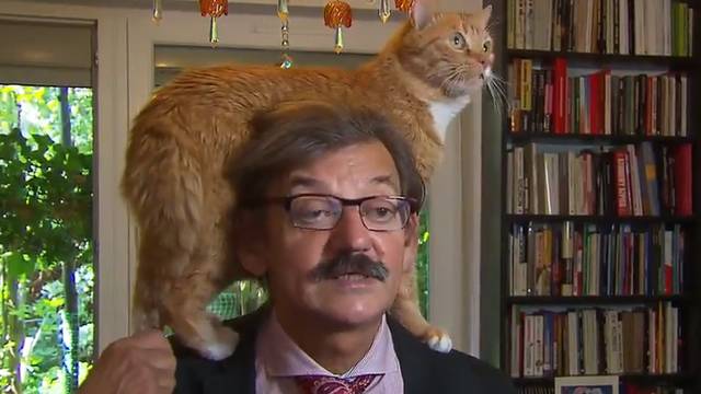 Historian Gives TV Interview With His Cat