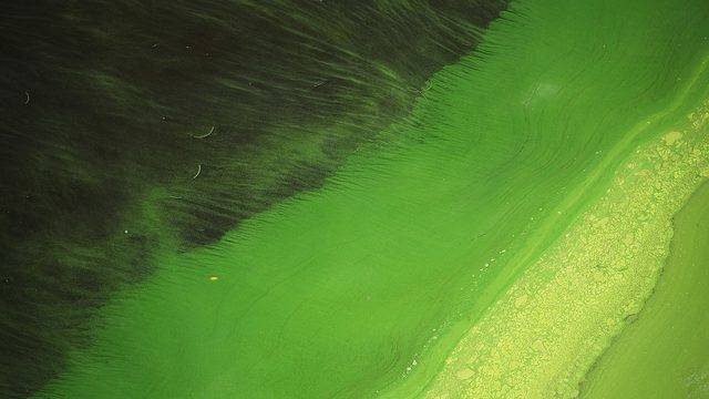 775189783JR006_Florida_Decl_1534362701262 775189783JR006_Florida_Decl_1534362701262