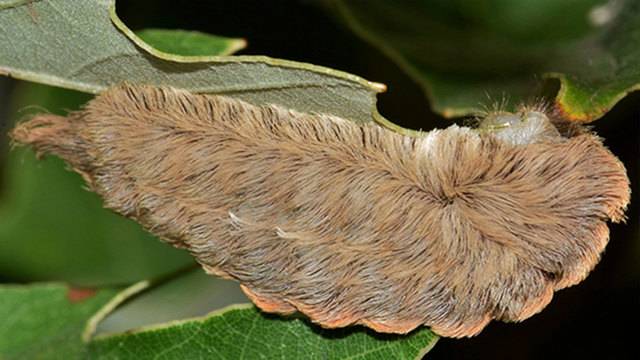 ΣÏεÏική εικÏνα