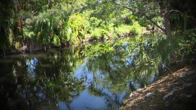 canal where Kelcher Dominique found dead