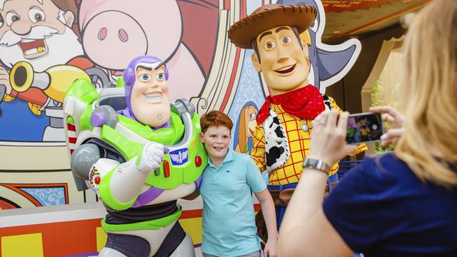 Toy Story Woody Buzz_1530815829590.jpg.jpg
