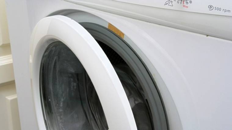 Marijuana run through washing machine causes fight in Florida – Florida Weirdness