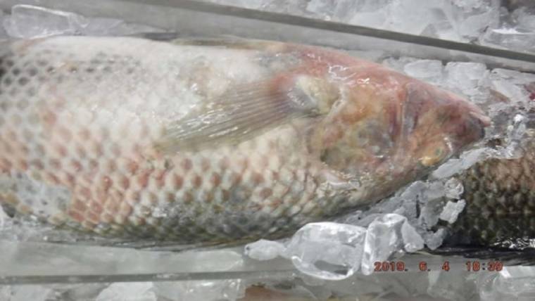 South Florida supermarket owner arrested on allegations of selling rotting fish