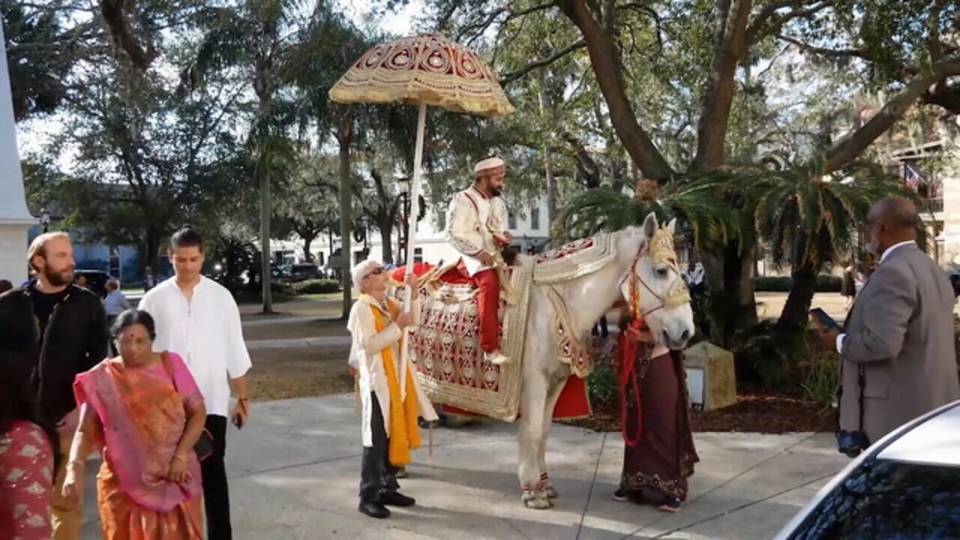 Horse no altercation 1_1519755888304.jpg.jpg Horse no altercation 1_1519755888304.jpg.jpg