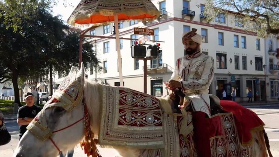 Horse no altercation 3_1519755886342.jpg.jpg Horse no altercation 3_1519755886342.jpg.jpg