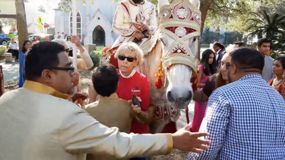 Wanda blocking horse 2_1519755890220.jpg.jpg Wanda blocking horse 2_1519755890220.jpg.jpg