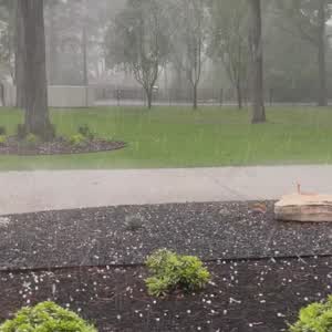 1/2 in hail on north side of Tomball.
