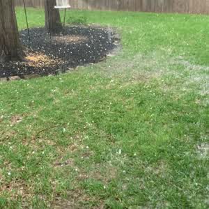 Dime size hail in Creekside Park in The Woodlands.